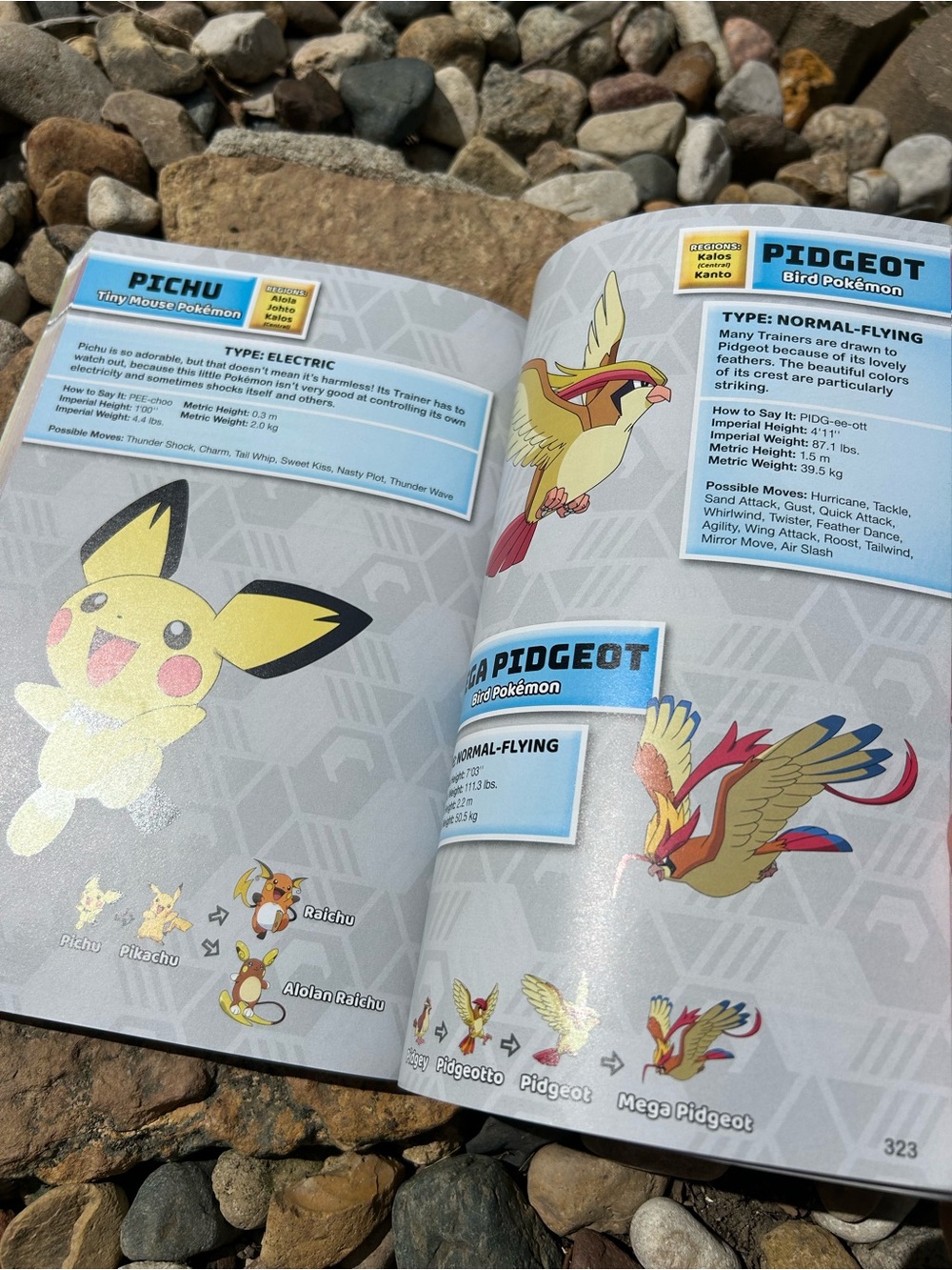 Pokémon Super Deluxe Essential Handbook - Picture 12 of 13